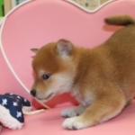 Thumbnail of post image 094