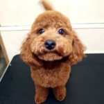 Thumbnail of post image 135