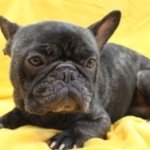 Thumbnail of post image 039